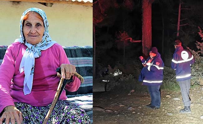 Mantar toplamaya gittiği dağda kaybolan kadından 72 saattir haber alınamıyor
