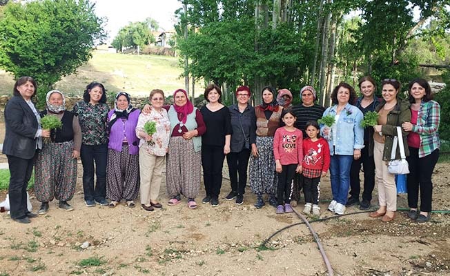 CHP İl Kadın Kolları Çivril'e çıkarma yaptı