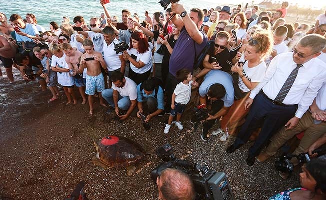 DEKAMER’de tedavi edilen deniz kaplumbağasına Kıbrıs Harekatı anısına ‘Lara Barış’ ismi verildi