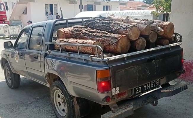 Jandarmanın dikkati ormandan kaçak kesilen 3 ton tomruğu ortaya çıkardı