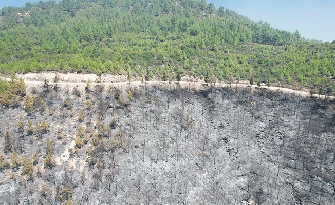 Denizli - Muğla sınırında çıkan yangında 100 hektar alan siyaha büründü