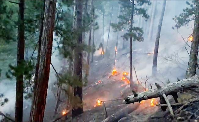 Başkarcı Dağı’ndaki orman yangını kontrol altına alındı