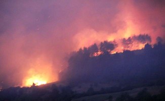 Orman yangını söndürme çalışmaları sürüyor