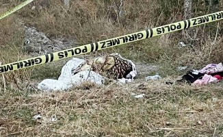 Boş arazide bulunan kadın cesedi cinayetinde kan donduran detaylar ortaya çıktı