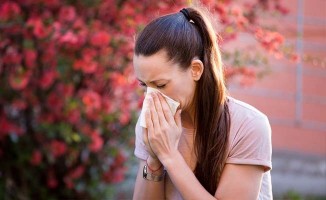 Yazın gelmesiyle birlikte alerjik rinit şikayetleri arttı