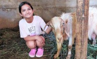 Kaçan kurbanlık keçi, 5 gün sonra boş bir evde bulundu