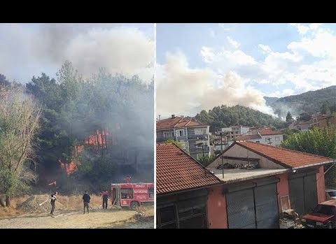 Buldan'da yerleşim yerine yakın noktada orman yangını başladı
