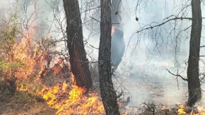 Pamukkale’de 1 günde 2 orman yangını